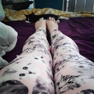 cat leggings